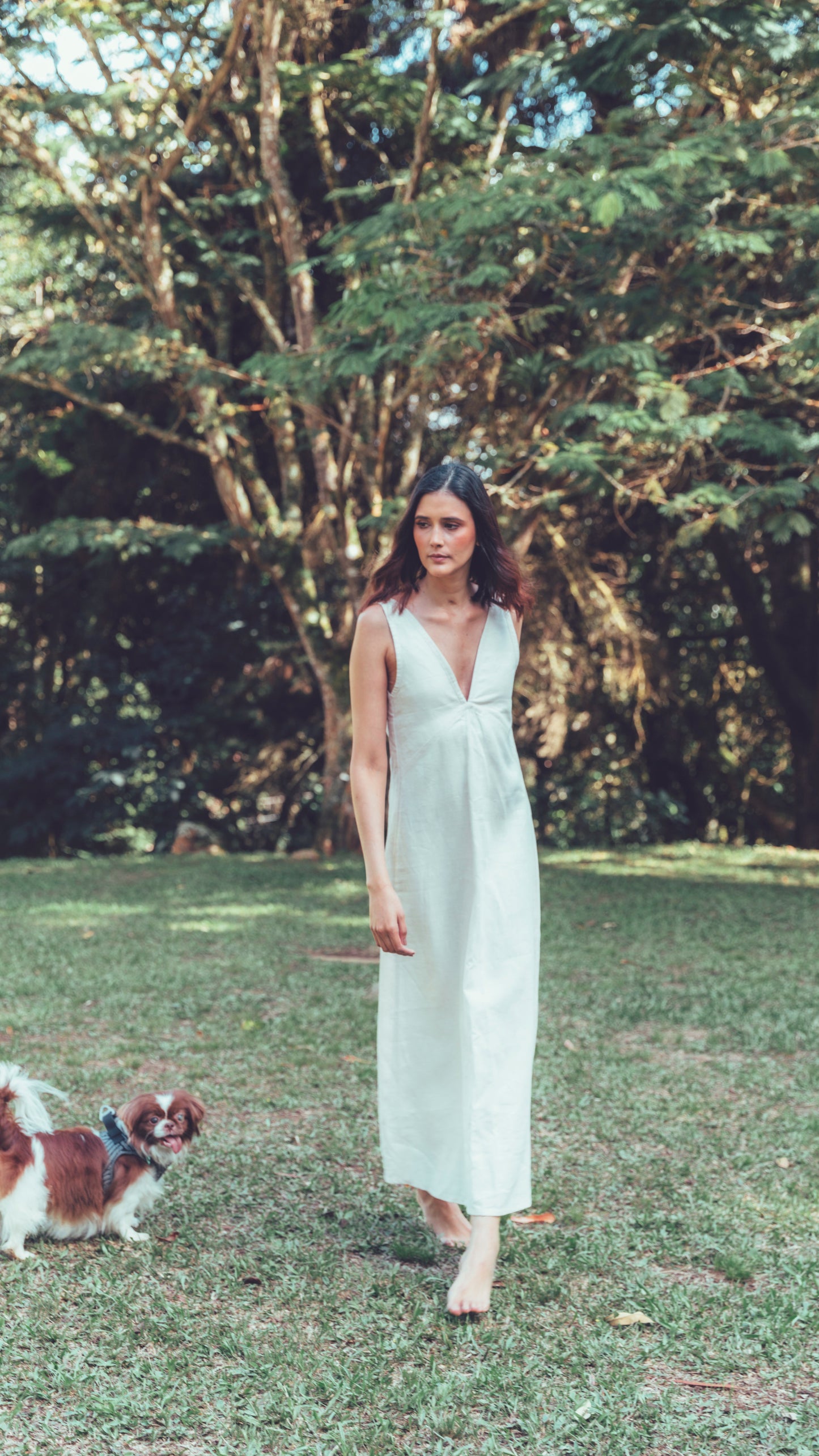 Serena Dress